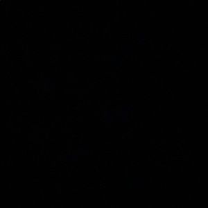 Meet your Posher, Dylan